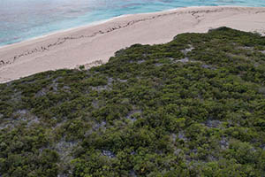 Beachfront Resort Lot On San Salvador, The Bahamas