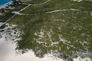 Beachfront Resort Lot On San Salvador, The Bahamas